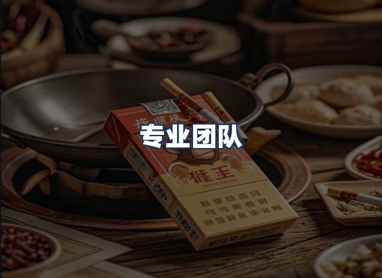 专业团队